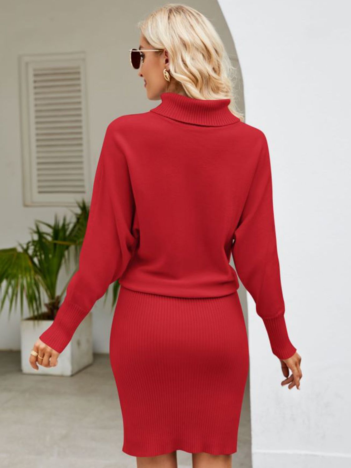 Turtle Neck Ribbed Sweater Dress